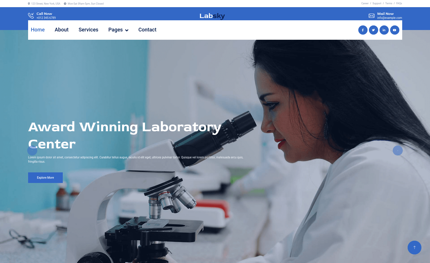 Labsky demo